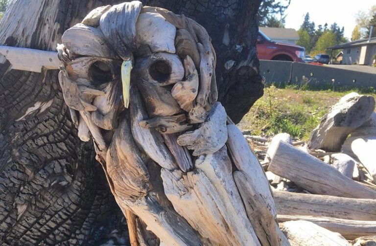 Campbell River driftwood artist hopes to find missing owl sculpture