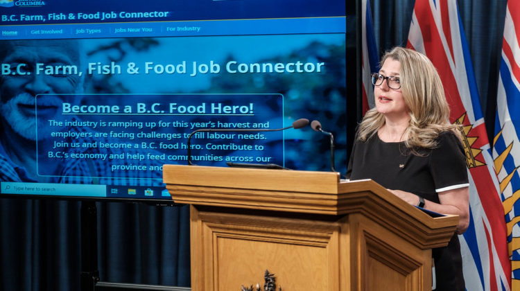 Province launches online resource for jobs and careers in agriculture