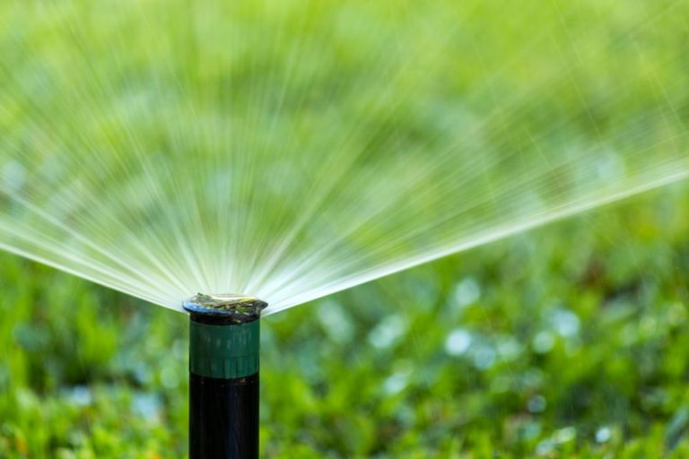 Lawn-watering restrictions start today