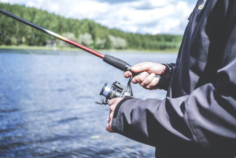 Feds to invest $319K in B.C. fisheries and clean aquaculture tech projects