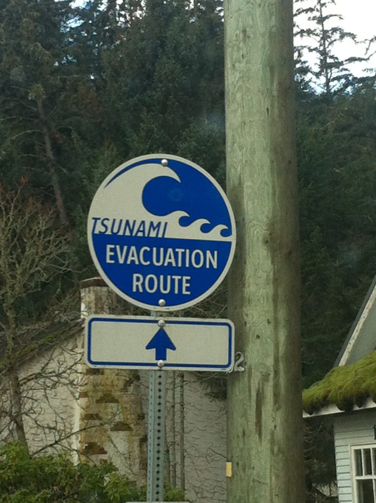 North Island towns to receive tsunami warning sirens