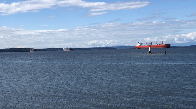 Will Freighter Anchorages be addressed by new Transport Minister?
