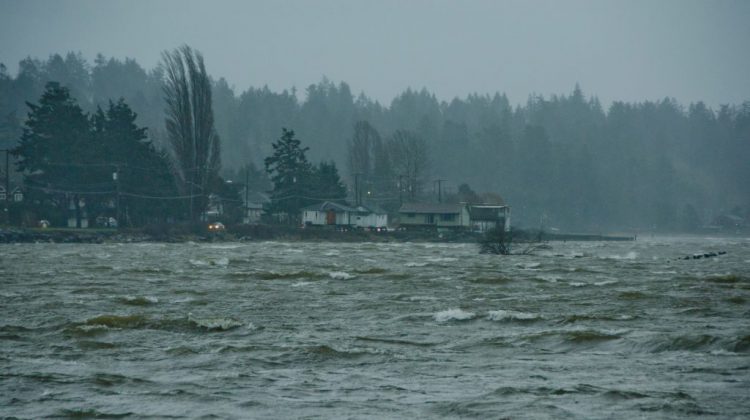 Wind warning issued for Campbell River, Courtenay