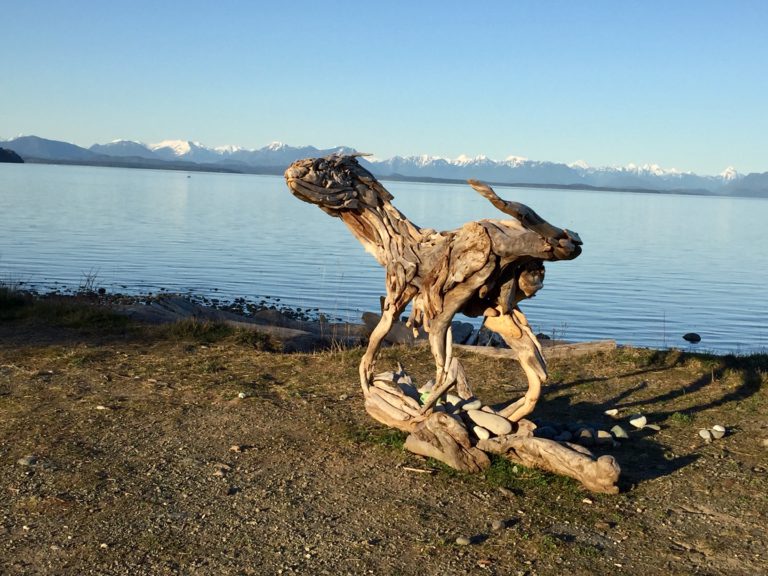 Chamber, Destination Campbell River urging locals to vacation close to home