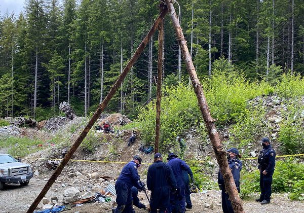 Old-growth Logging Protests Continue Despite More Than 200 Arrests