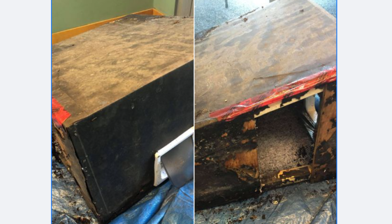 Branch manager sends reminder after empty box dumped outside Comox Valley SPCA shelter