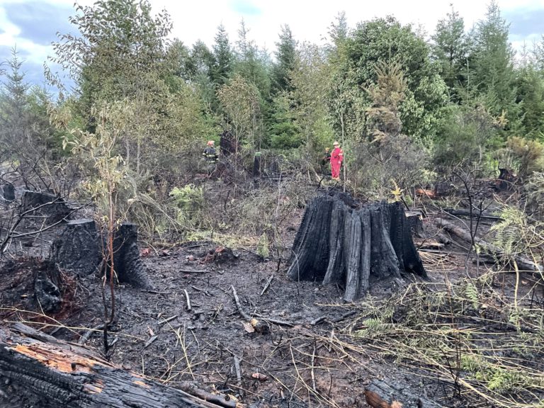 Cumberland crews  work quickly to douse early morning brush fire 