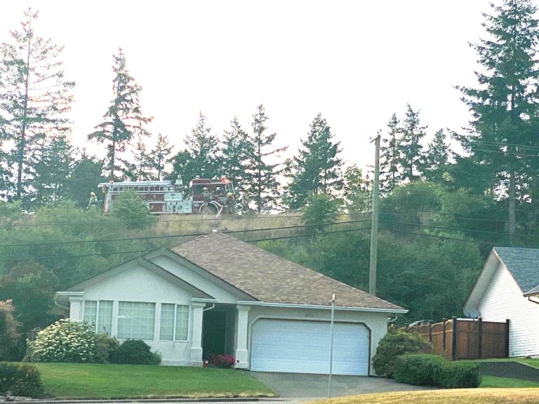Passersby, fire crews douse ‘multiple’ roadside fires on Courtenay’s Ryan Road hill
