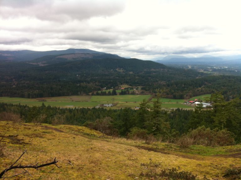 Changes to Agricultural Land Reserve rules increase housing flexibility on Vancouver Island