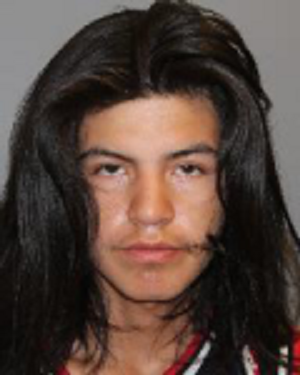 Campbell River RCMP search for man wanted on weapons possession and mischief charges