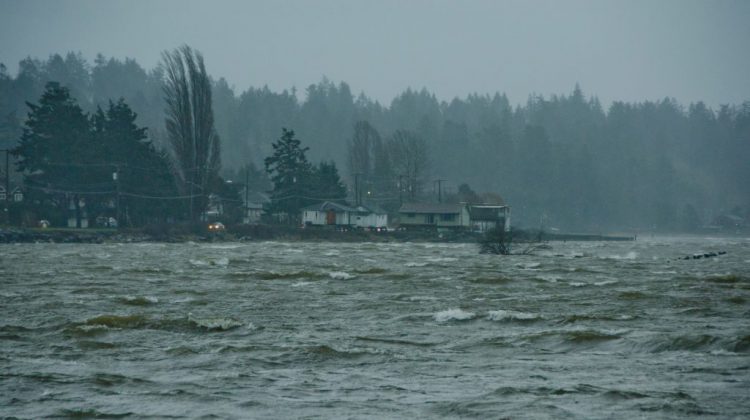 Strong winds gusting to 110 km/h forecast for the North Island