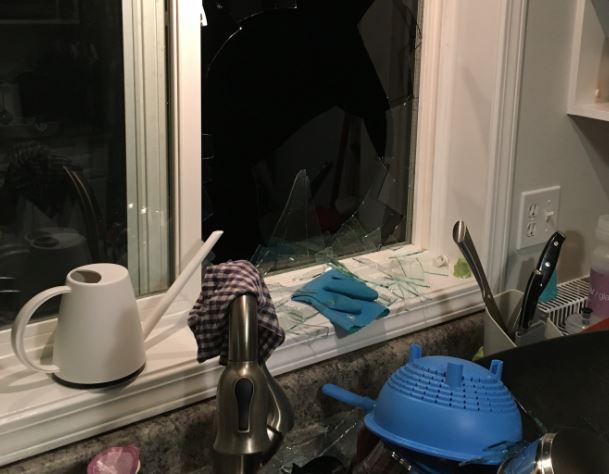 Willow Point family says they’ve been terrorized by young vandals