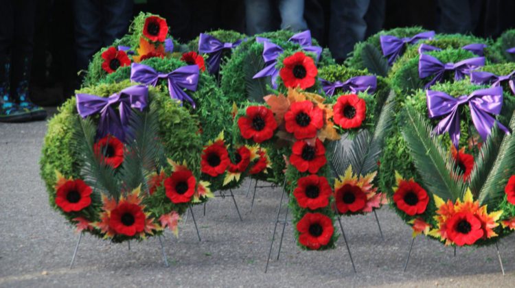 Vancouver Island transit authorities provide free Remembrance Day travel 