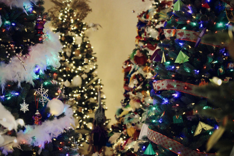 PHOTOS: Festival of Trees returns to Campbell River
