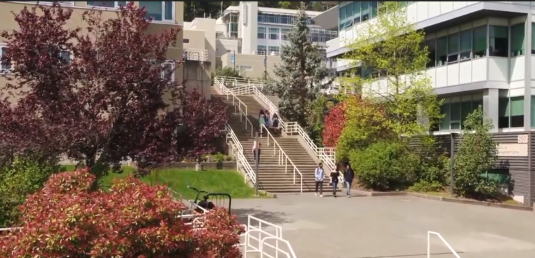 VIU research team works to preserve rare Nanaimo based flower 