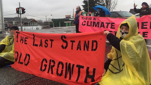 Old Growth Logging protests halt traffic in Nanaimo