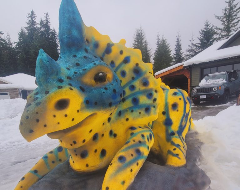 Unique snow sculptures turning heads in Campbell River