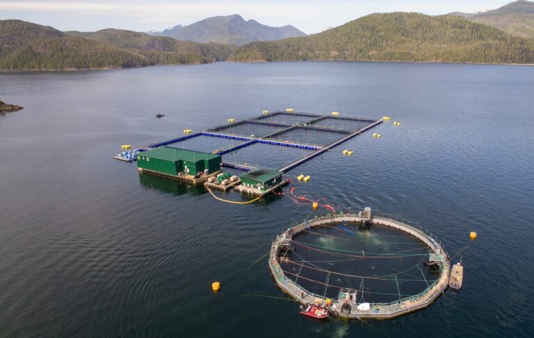 Semi-closed systems to be installed at Grieg fish farms in Esperanza Inlet