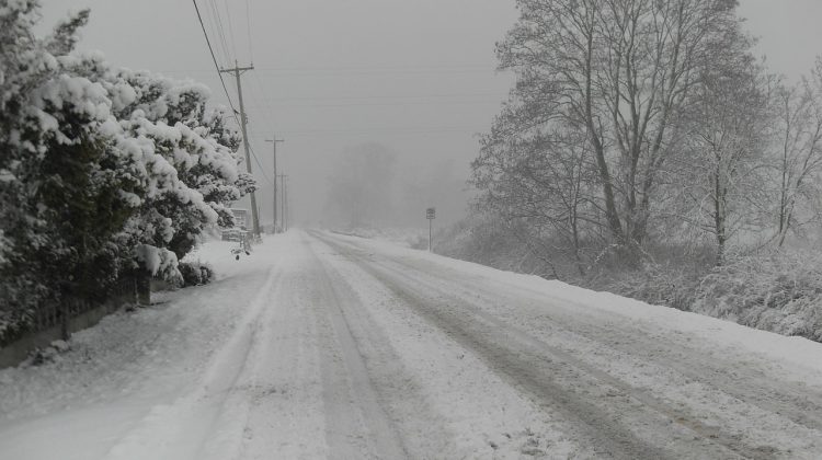 Snowfall warning in effect for East Vancouver Island