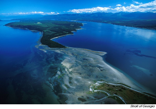 Vancouver Island voted among best Islands in the world