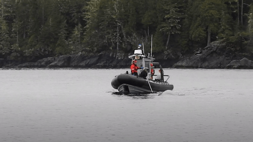 Young Humpback Whale rescued near Port Hardy