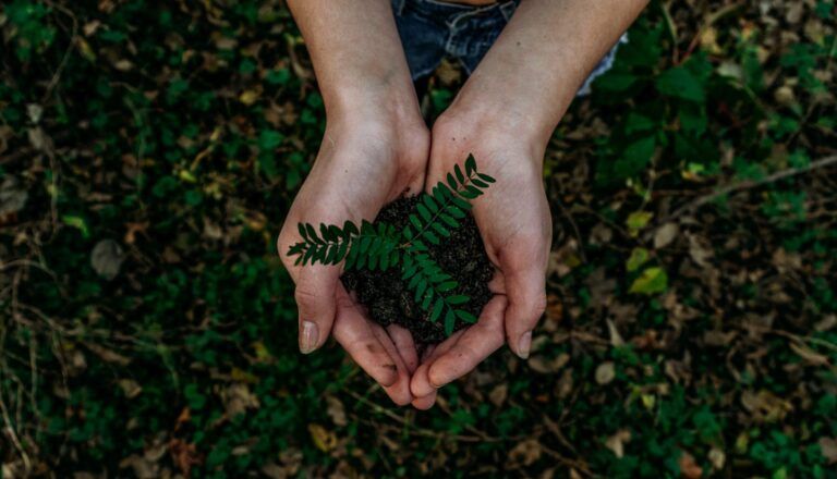 Nature clean ups encouraged as Earth Day approaches