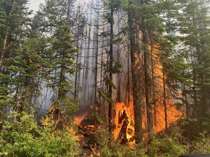 ‘Too early to compare’ BC Wildfire Service provides outlook on fire season