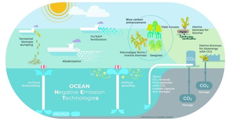 Seafood producers get funding help to manage climate change challenges