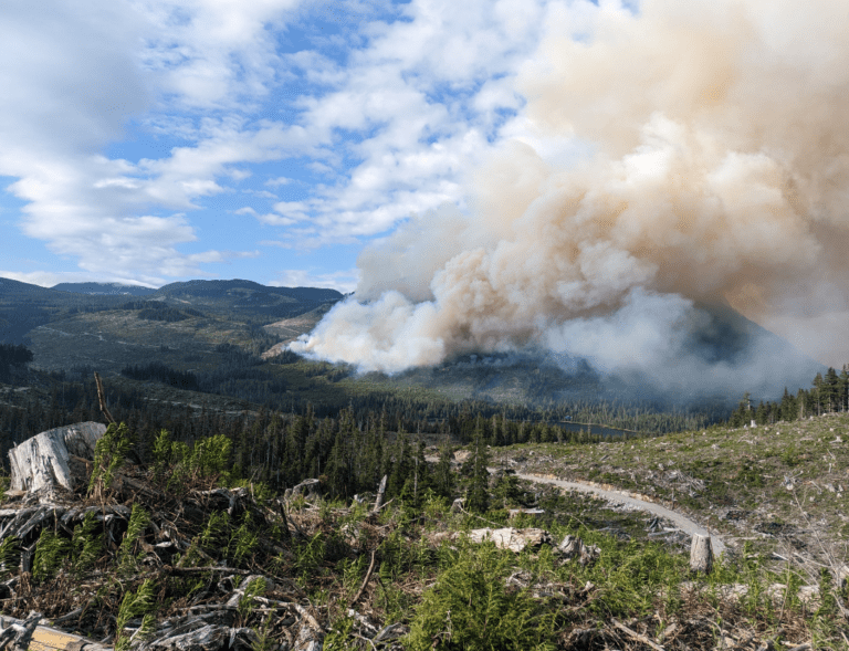 Wildfire west of Sayward has nearly doubled size in a day