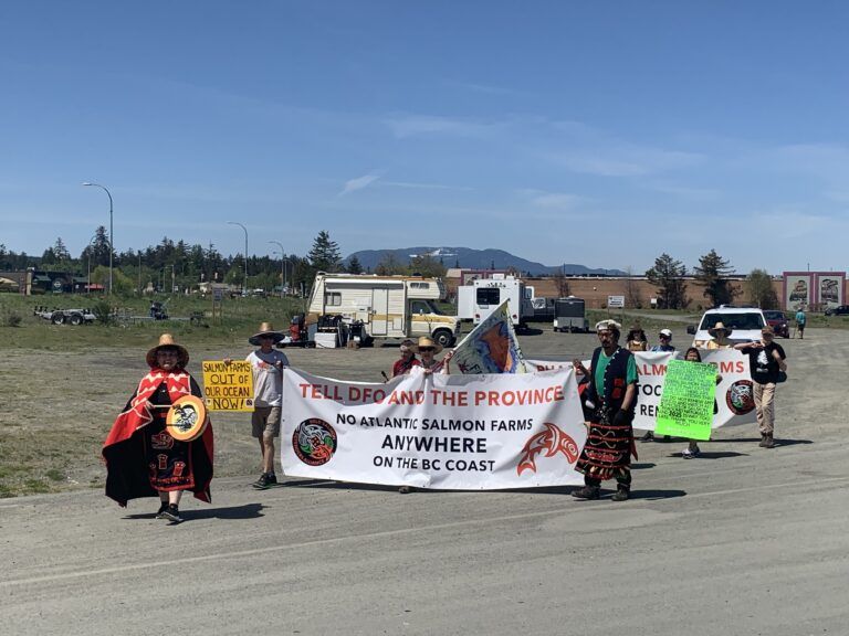Salmon farm protesters rally on foreshore, call for closures