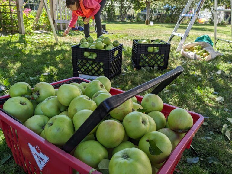 Local group looking to prevent food waste, animal encounters in ‘fruitful’ year