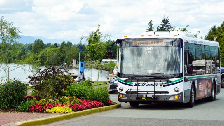 Transit passes available with bus service resuming soon