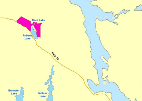 Woodlot operator left fire hazard near Camp Bob for three years