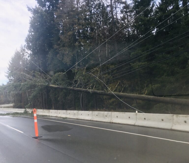 Crews Continue Working to Restore Power in the Cowichan Valley