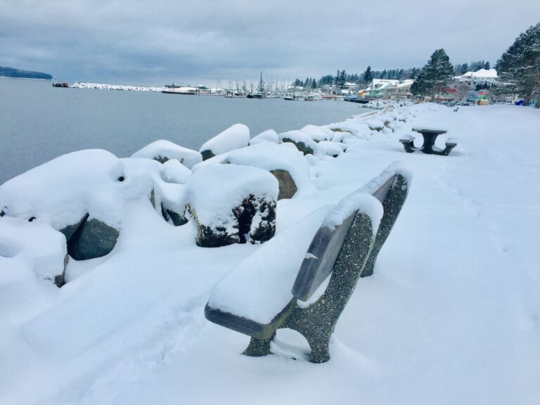 Another snowfall warning in the forecast for east Vancouver Island