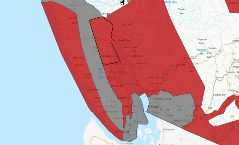 Environment Canada warns winter storm could bring ‘significant’ snow to Vancouver Island