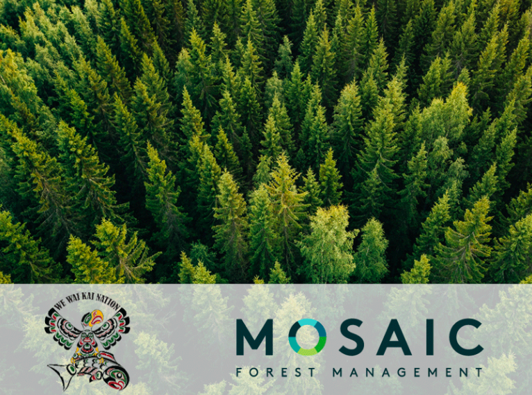 Quadra Island nation and Mosaic ink new logging deal