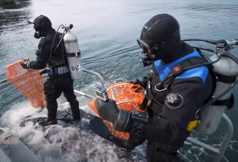 Urchin diver swims to safety after tide took her in snowstorm