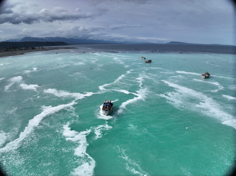 High-tech helping researchers better understand this year’s colourful herring spawn