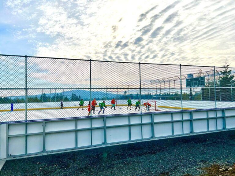 Alleged sex offender, financial irregularities prompt BC Ball Hockey Association suspension