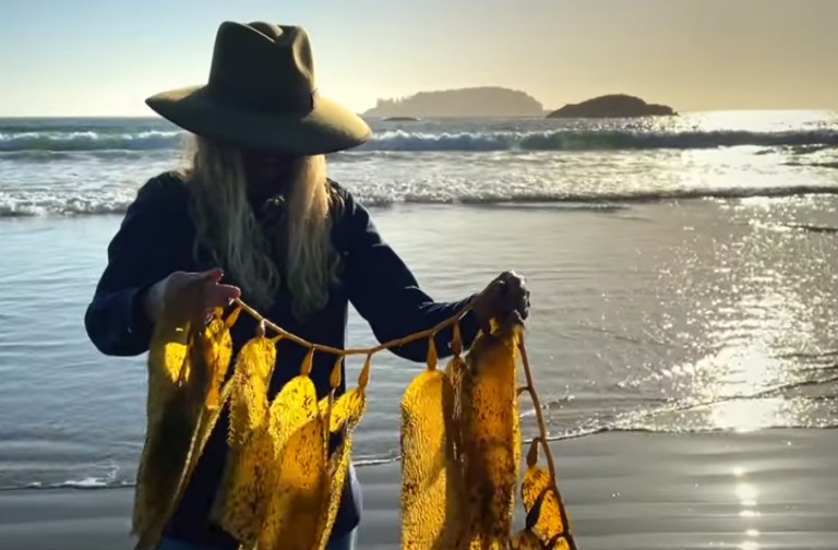 Kelp farming documentary has hopeful message for a changing world