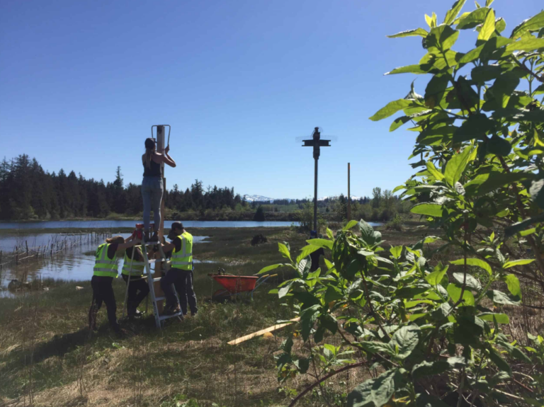 Baikie Island improvements will require some trail downtime