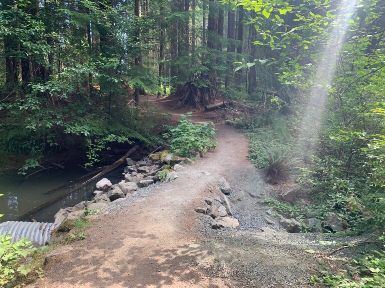 Damaged Beaver Lodge Lands trail finally getting fixed this month
