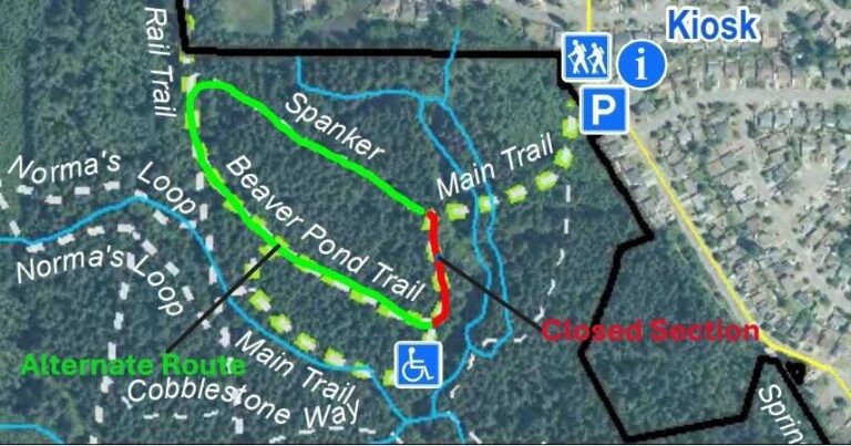 Beaver Lodge trail closed until danger trees removed