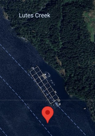 Around 7,500 liters of oil spilled at a fish farm near Zeballos
