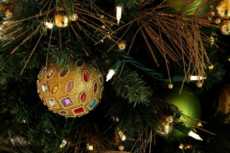 Holiday Lights Map returns for Campbell River this December
