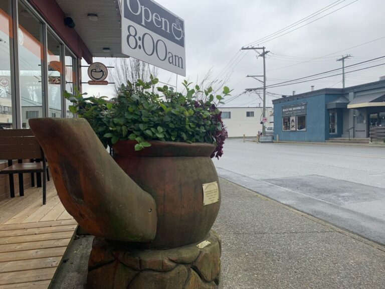 City introduces bylaw to add 11th Ave businesses to Downtown BIA