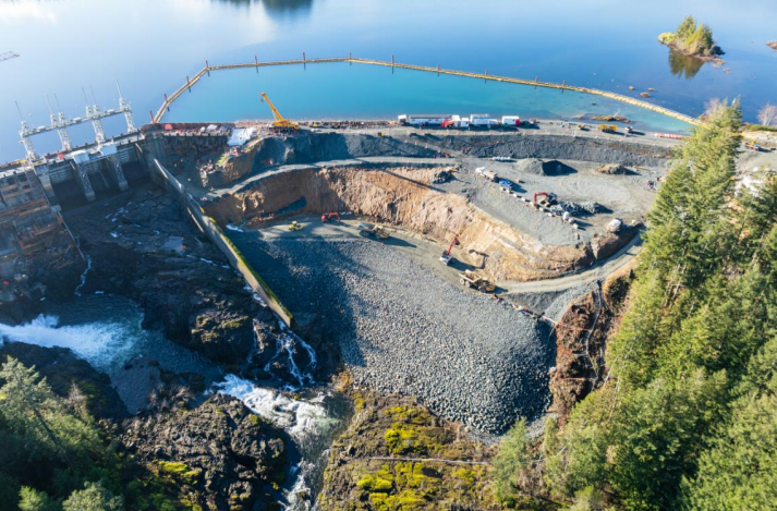 Habitat restoration completed as compensation for dam upgrades