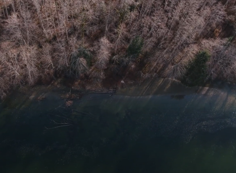 Nature Trust of BC aims to expand Salmon River protected area