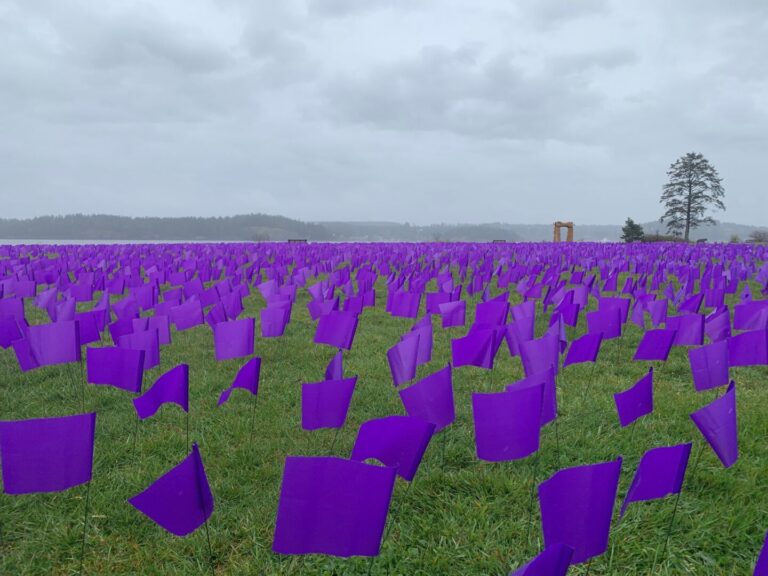 Flags at Tyee Spit remember 50,000 lost to toxic drugs in Canada